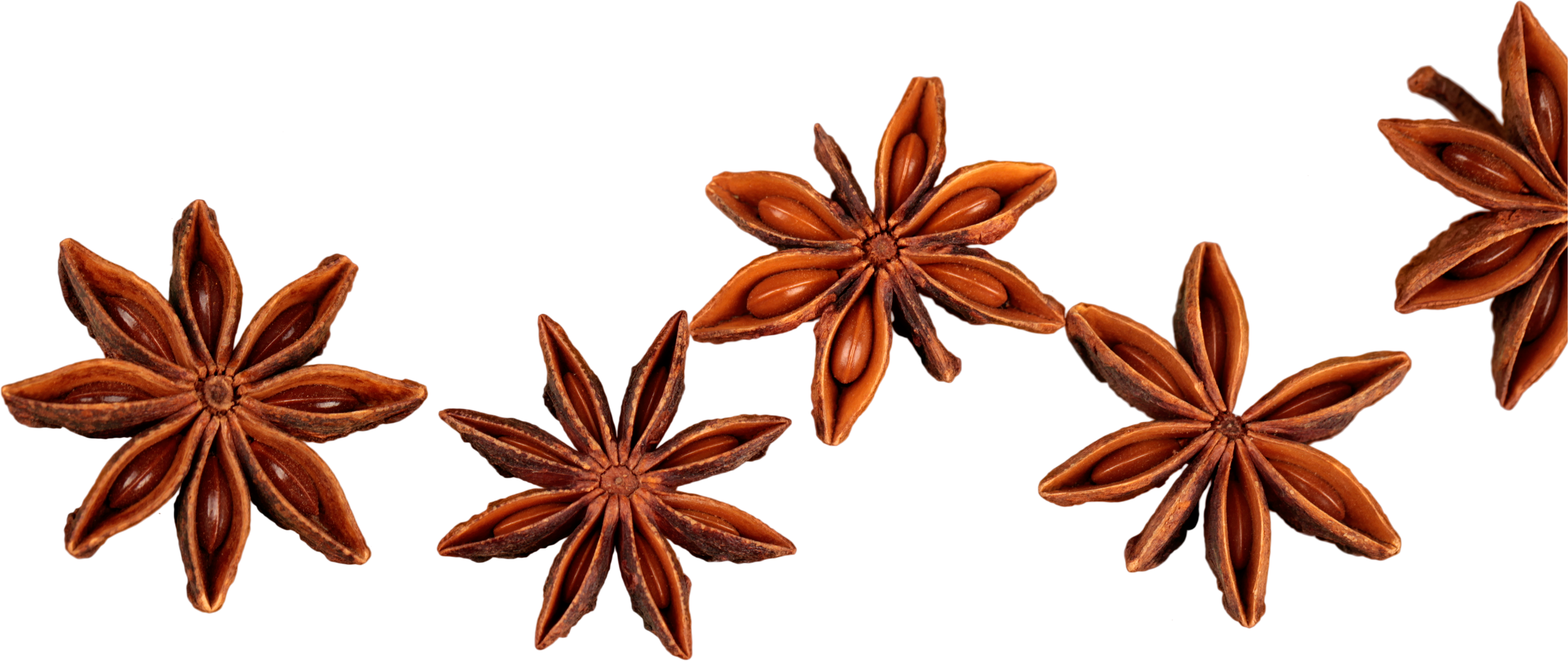 Star Anise - Isolated